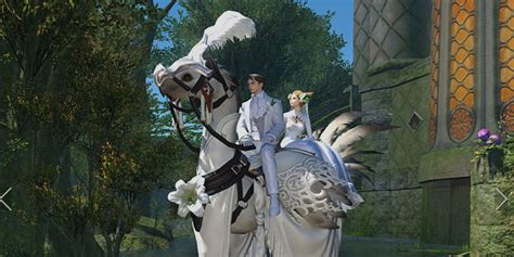 how to get married ffxiv|ffxiv paladin mount.